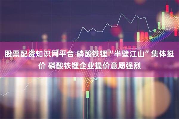 股票配资知识网平台 磷酸铁锂“半壁江山”集体挺价 磷酸铁锂企业提价意愿强烈